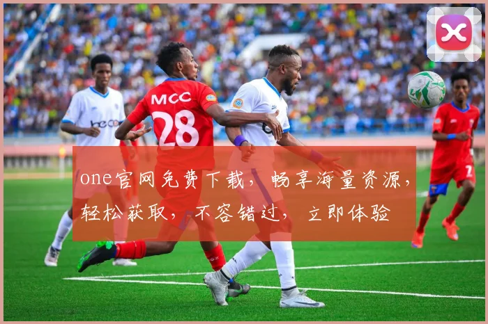 one官网免费下载，畅享海量资源，轻松获取，不容错过，立即体验
