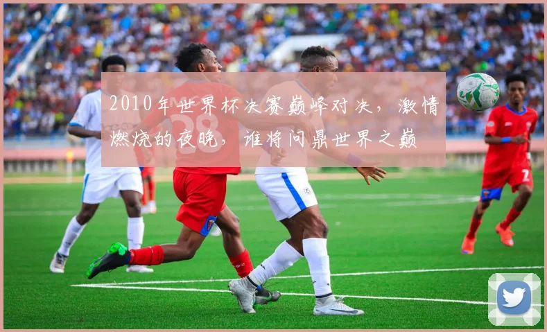 2010年世界杯决赛巅峰对决，激情燃烧的夜晚，谁将问鼎世界之巅
