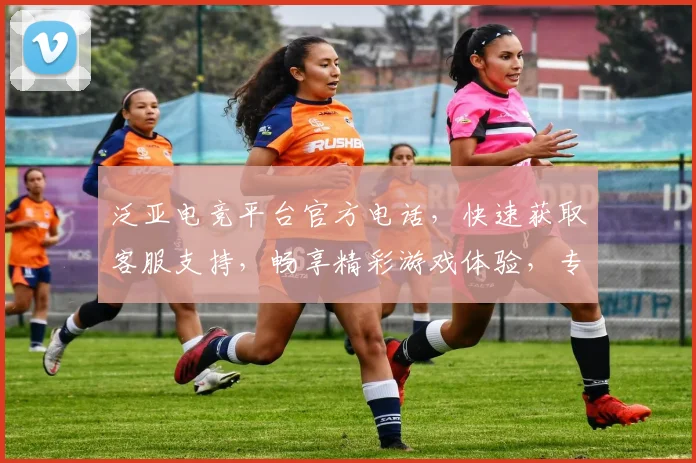 泛亚电竞平台官方电话，快速获取客服支持，畅享精彩游戏体验，专业解答三连击