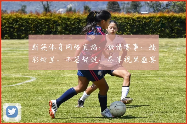 新英体育网络直播，激情赛事，精彩纷呈，不容错过，尽享视觉盛宴