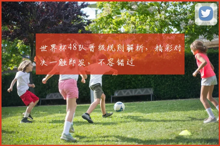 世界杯48队晋级规则解析，精彩对决一触即发，不容错过